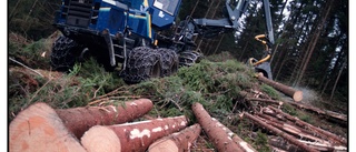 Skogsägare rasar mot nya regler för avverkning