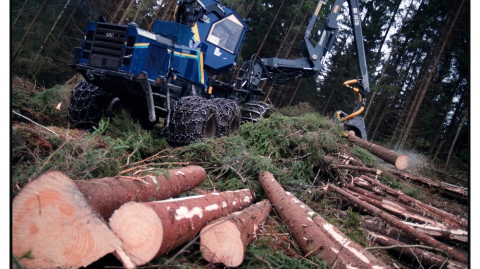 "Det är hög tid att bredda verktygslådan i den svenska skogen. Markägare i Kalmar län har både ett ansvar och en möjlighet att vara med och bestämma hur skogens framtid ser ut", skriver företrädare för Skogssällskapet.