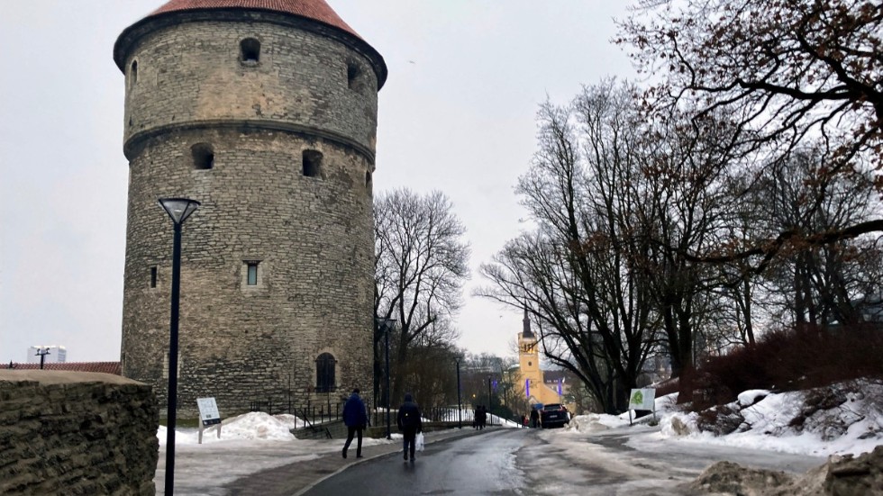 I Estland och dess huvudstad följer man noga det växande krigshotet i öster. Esternas budskap är att rysk aggression bara kan mötas med gemensamma tag och agerande från demokratierna i väst. Det gäller också Sverige. 
