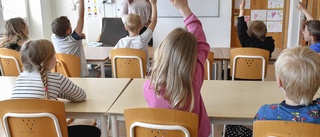 Regeringen vill se mer handfast lärarutbildning