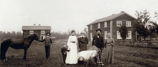 Boliden - Okänd, 1907