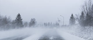 Snöfall kommer in över Västervik – SMHI varnar • Kan bli två decimeter