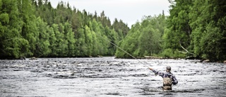 Ny film ska marknadsföra turismen i regionen