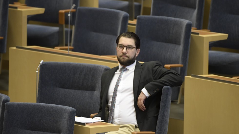 Sverigedemokraterna är inte purungt. Partiledaren Jimmie Åkesson och partiet har suttit i riksdagen i snart tre mandatperioder.