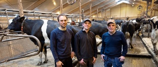 Prisade mjölkbönder på Vikbolandet vill utvecklas hela tiden: "Vi har varit offensiva"