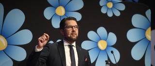 Åkesson vill inte göra SD radikalare nu