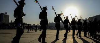 Etiopien utlyser humanitär vapenvila med krav