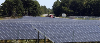Politiker vill bygga solcellspark