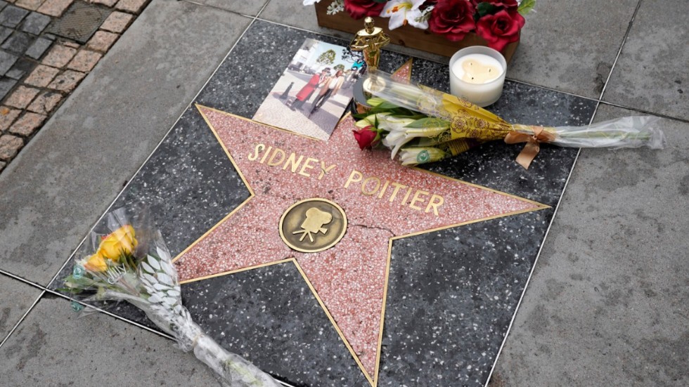 Blommor har placerats på Sidney Poitiers stjärna på Hollywood Boulevard i Los Angeles.