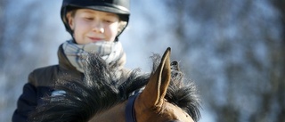 Kajsa Björe redo för Göteborg Horse Show: "Det känns jättestort"