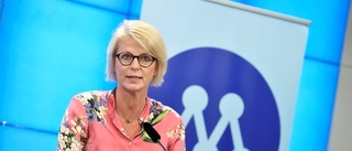 Hade Elisabeth Svantesson extra kostnader?