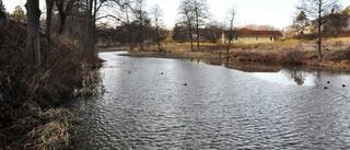 Förslag på mer muddring