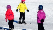 Full fart i backarna i Vilsta