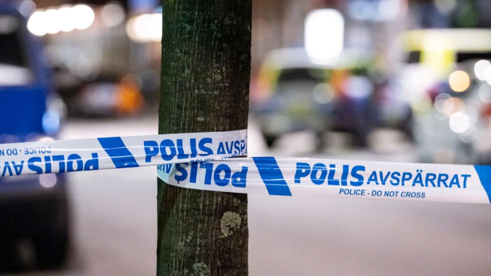 Den man som sköts av polis i Hudiksvall den 6 juli har häktats vid Hudiksvalls tingsrätt. Arkivbild.