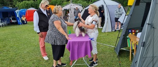 Se när hunden Pascal vinner bäst i sin klass - matte Anne-Marie: "Det känns jättebra"