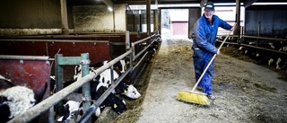 Företag vinner och bönder förlorar på nytt avtal