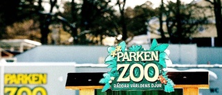 Presumtiva Parken Zoo-köpare uppvaktas