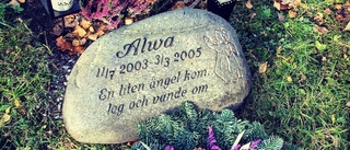 Under fem års tid har Alwas grav skändats