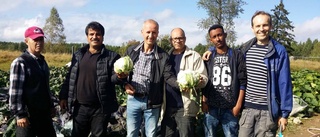 I bondeskolan frodas både drömmar och grönt