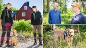 Skelettsökande hunden gjorde nytt fynd – vid omtalade vägen nära Sven Sjögrens hus 