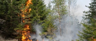 Brandrisk pausar kommunens arbeten i skogen
