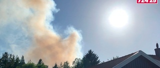 Skogsbränder på Ärnaberget och i Odlarskogen