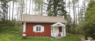 Niclas köpte hus i skogen för att fly stressen – då blev idyllen ett kalhygge