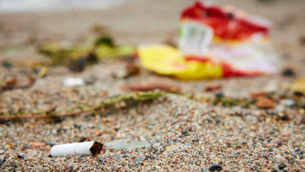 Cigarrettfimpar och platsskräp hotar inte bara strandmiljön utan även fiskar och fåglar som rör sig kring kustområdena.