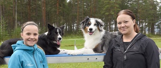 Jennie, 41, startade ny hundklubb i Luleå • På jakt efter en inomhushall: "Det är en utmaning"