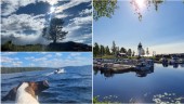 Sol, vind och vatten – läsarnas bästa bilder från juli