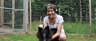 Stor efterfrågan på hundpensionat – fullbokat i sommar • Diana Heiszler: "Massor med nya förfrågningar"