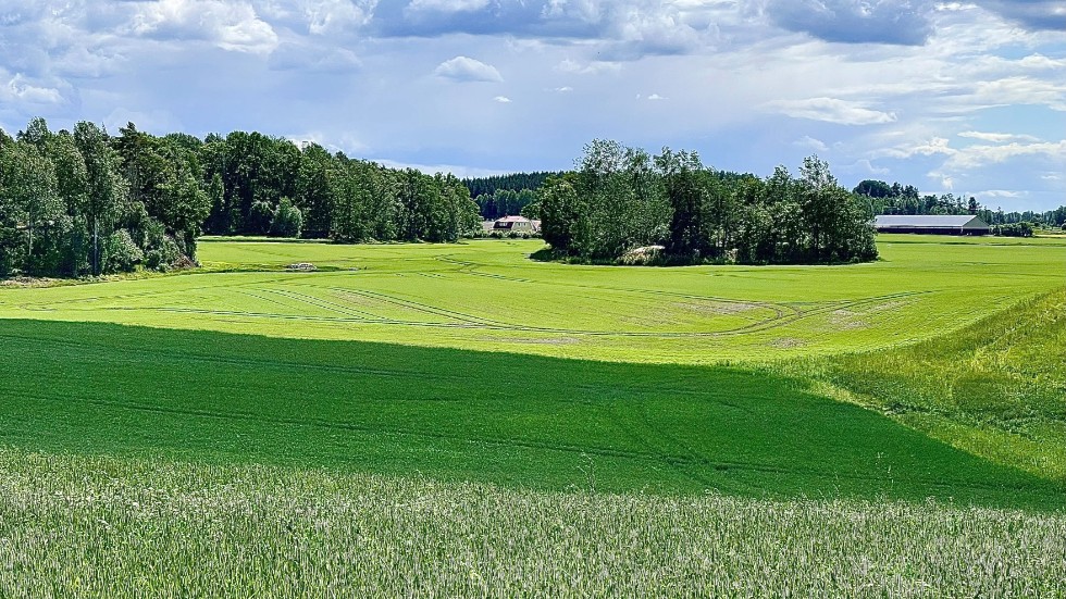 Fin åkermark tas till bebyggelse trots att vi måste bli mer självförsörjande i Sverige, skriver insändarskribent