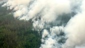 Stora områden branddrabbade i Ryssland