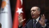 Erdogans Natostopp varar inte för evigt