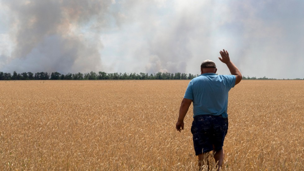 En lantbrukare i Ukraina kontrollerar ett vetefält. Landet är en av världens största exportörer av vete, majs och solrosolja. Arkivbild.