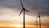 Stoppa den brutala vindkraftsexploateringen
