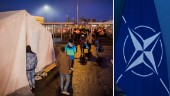 Är Sverige redo för många fler flyktingar?