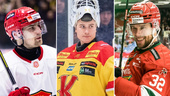 Stor genomgång: Så går det för VH-profilerna i Hockeyallsvenskan