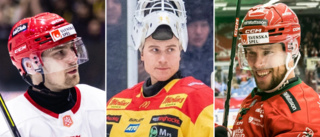 Stor genomgång: Så går det för VH-profilerna i Hockeyallsvenskan