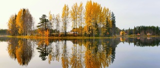 Höstbild från sjön Salmijärvi 