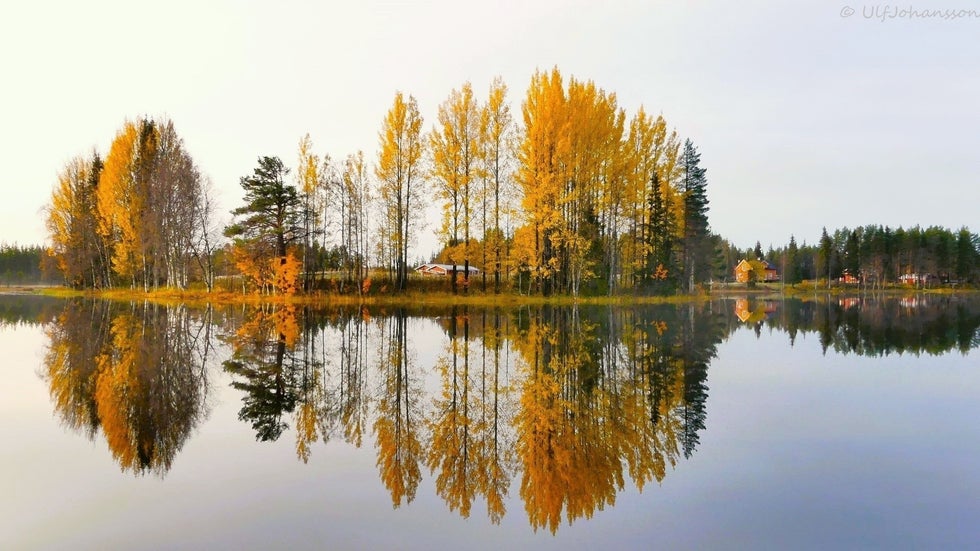 Höstbild från sjön Salmijärvi