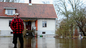 Lars drabbades av översvämning – halvmeter vatten i källaren