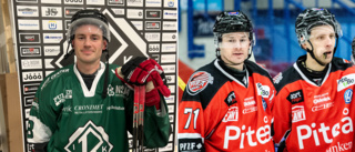 Hockeybomben – poängkungarna återförenas i Rosvik: "Underbart"