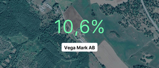 Vega Mark AB: Nu är redovisningen klar - så ser siffrorna ut