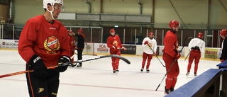 Här tränar NHL-stjärnorna – med Almtuna