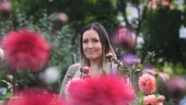 Jessica säljer sina blommor – i kampen mot bröstcancer