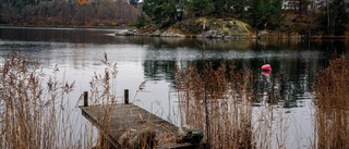 Äntligen gör någon slag i strandskyddsreformer