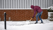 SMHI: Mer snö på väg – och då blir det ännu kallare