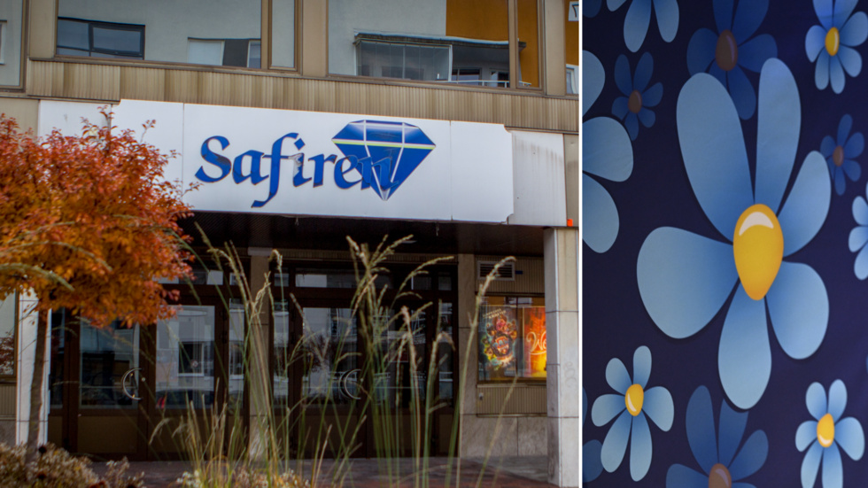 När experter på trygghet föreläste på Safiren i Katrineholm var SD inte där för att lyssna.