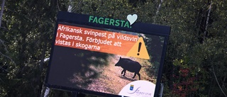 Afrikansk svinpest hot mot hela Sverige
